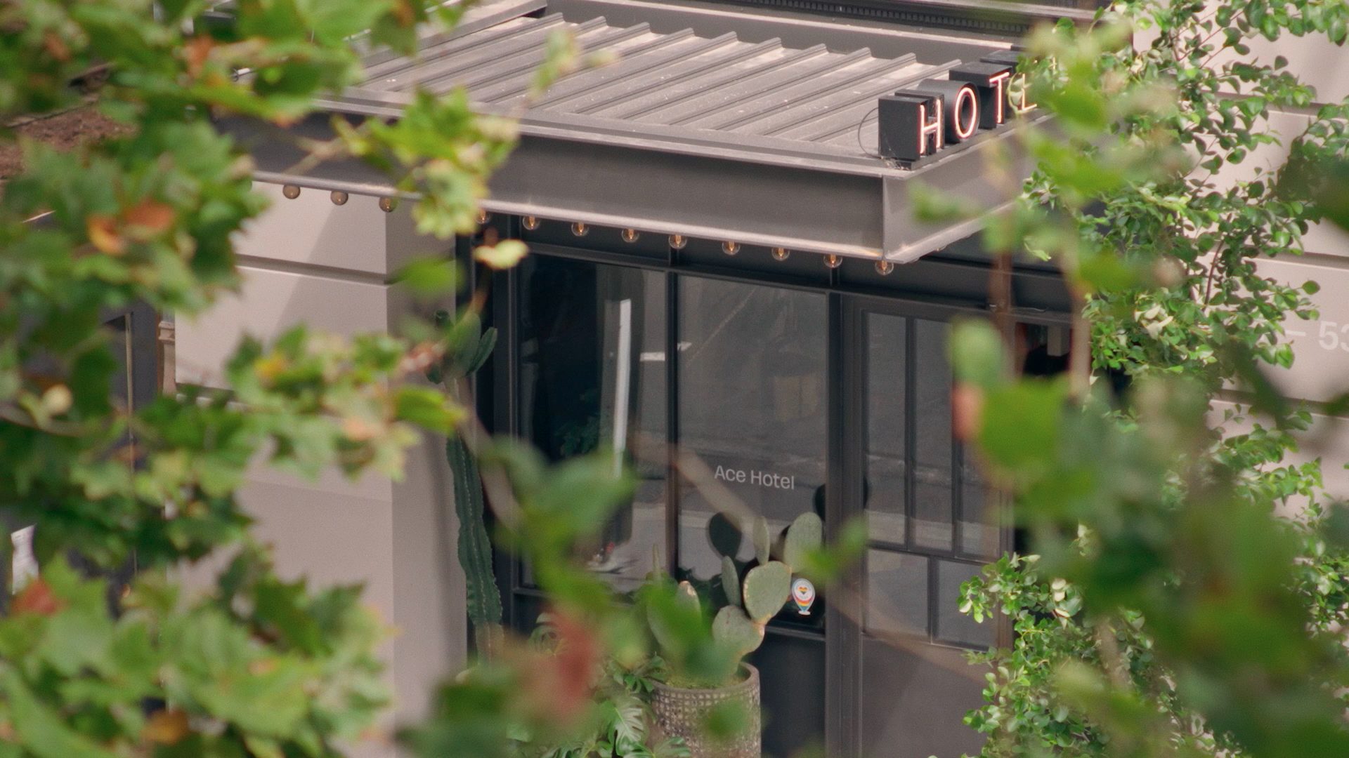 The entrance of a hotel with a sign reading Ace Hotel, partially obscured by green tree branches.